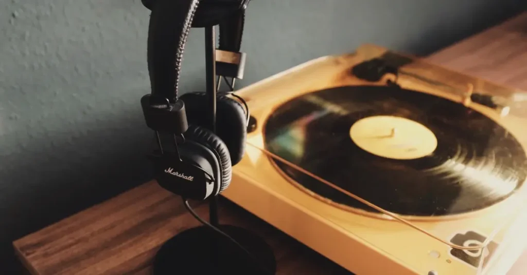 Top 15 Gifts For Vinyl Lovers 2024 (#15 Is My Favorite) 2 gifts for vinyl lovers