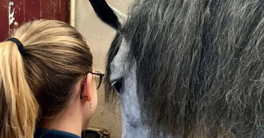 21 Gifts for Vet Students 2024: Shaping Future Healers 2 vet student and horse