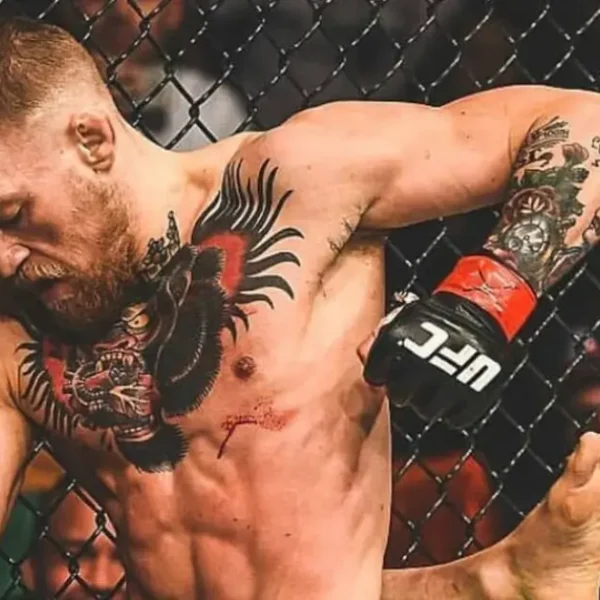 Connor McGregor fighting