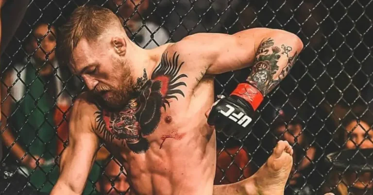 Connor McGregor fighting