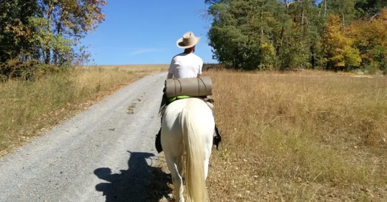 Young horse trainer horseriding